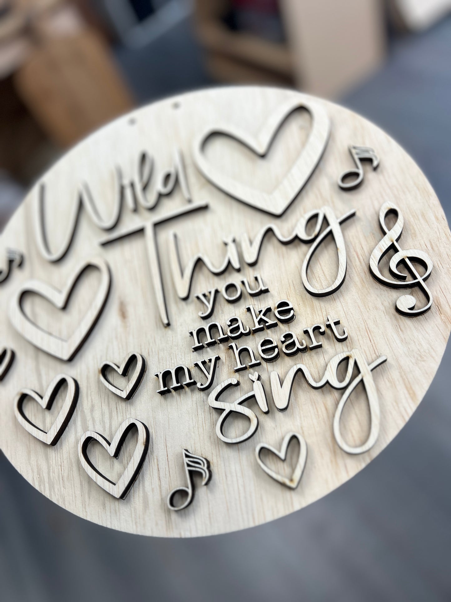 Wild Thing You Make My Heart Sign Door Hanger DIY