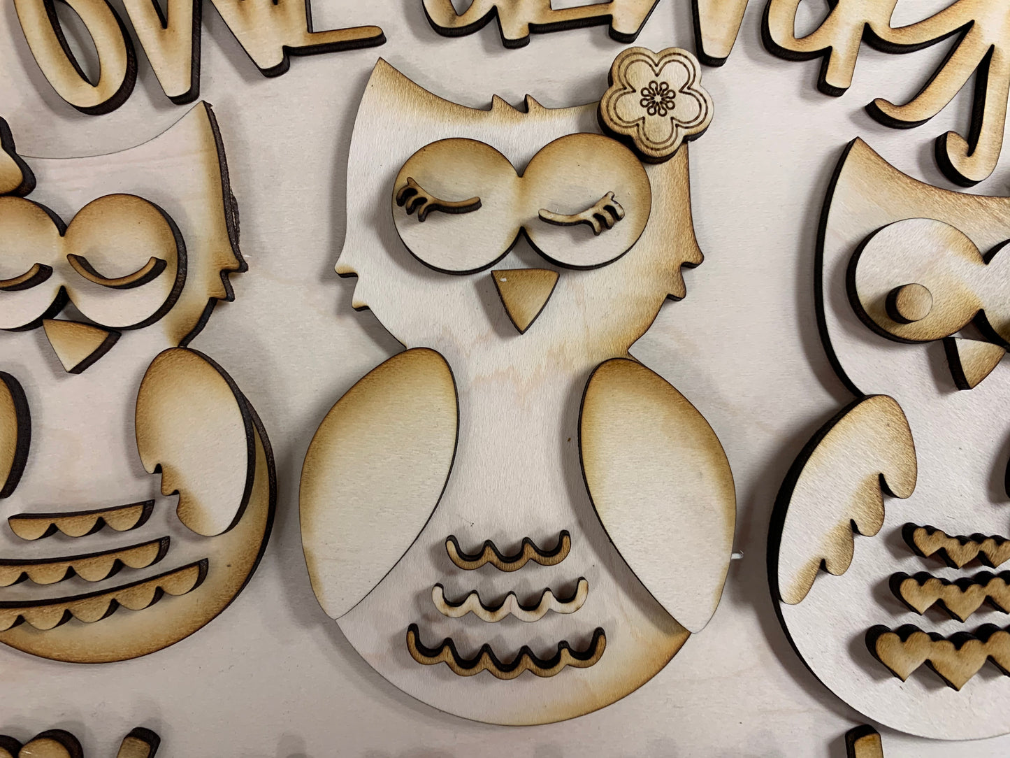 Owl Always Love You Take Home Kit